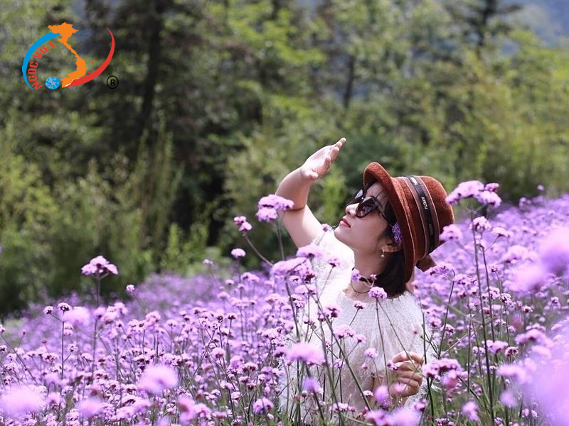 1. Mặc gì khi đi Sapa vào mùa xuân 1. Mặc gì khi đi Sapa vào mùa xuân