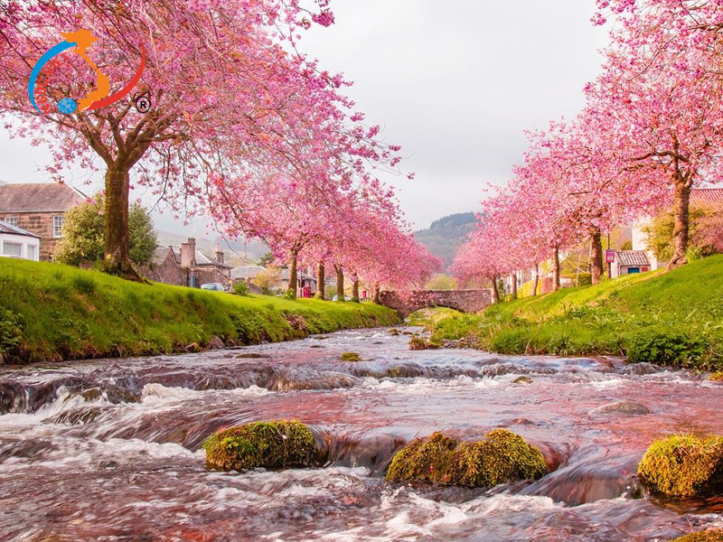 Du lịch Nhật Bản tháng 3 có gì chơi? Du lịch Nhật Bản tháng 3 có gì chơi?