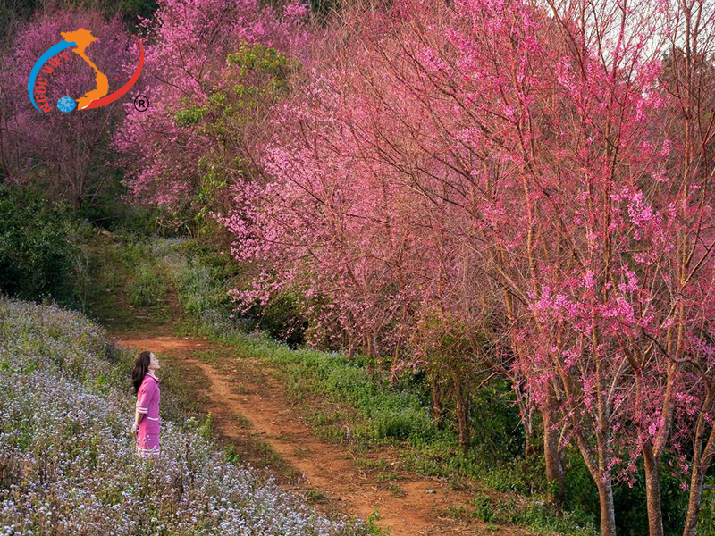 Dốc Đa Quý – Địa điểm check-in sống ảo được giới trẻ yêu thích Dốc Đa Quý – Địa điểm check-in sống ảo được giới trẻ yêu thích