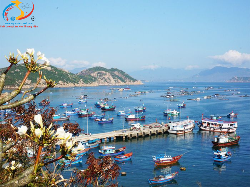 ĐẢO BÌNH BA - ĂN TÔM HÙM 01 KHÁCH 01 CON - XE GIƯỜNG