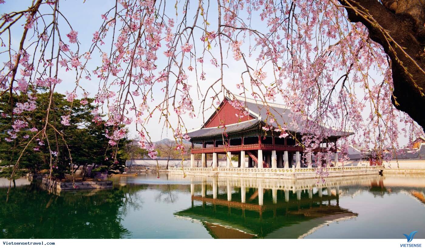 TOUR HÀN QUỐC TẾT ÂM LỊCH 2026